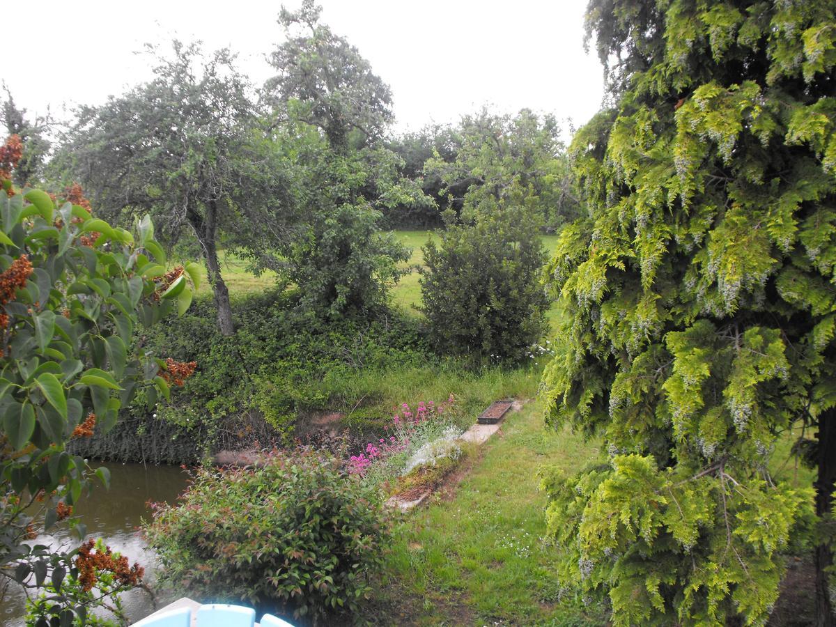 Bed and Breakfast Domaine de La Madeleine Ygrande Exterior foto